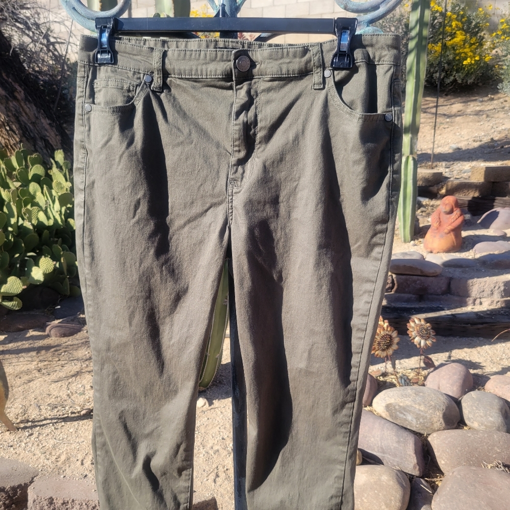 🚩Summer Sale🚩David Bitton Buffalo Khakis Green Pants